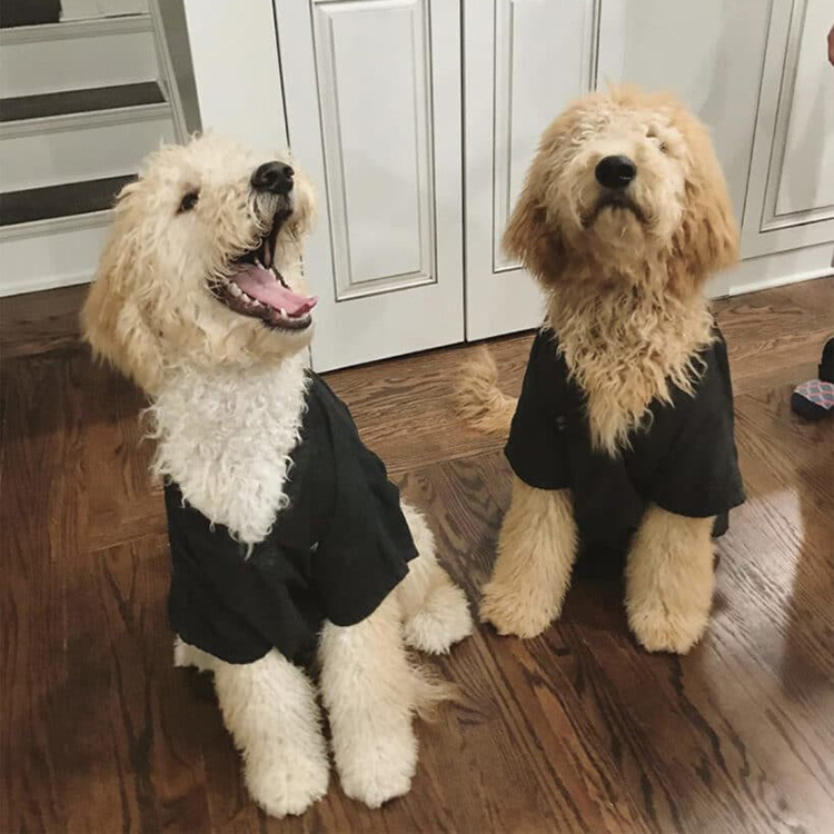 Sunny and Churrito, Imagen mascots